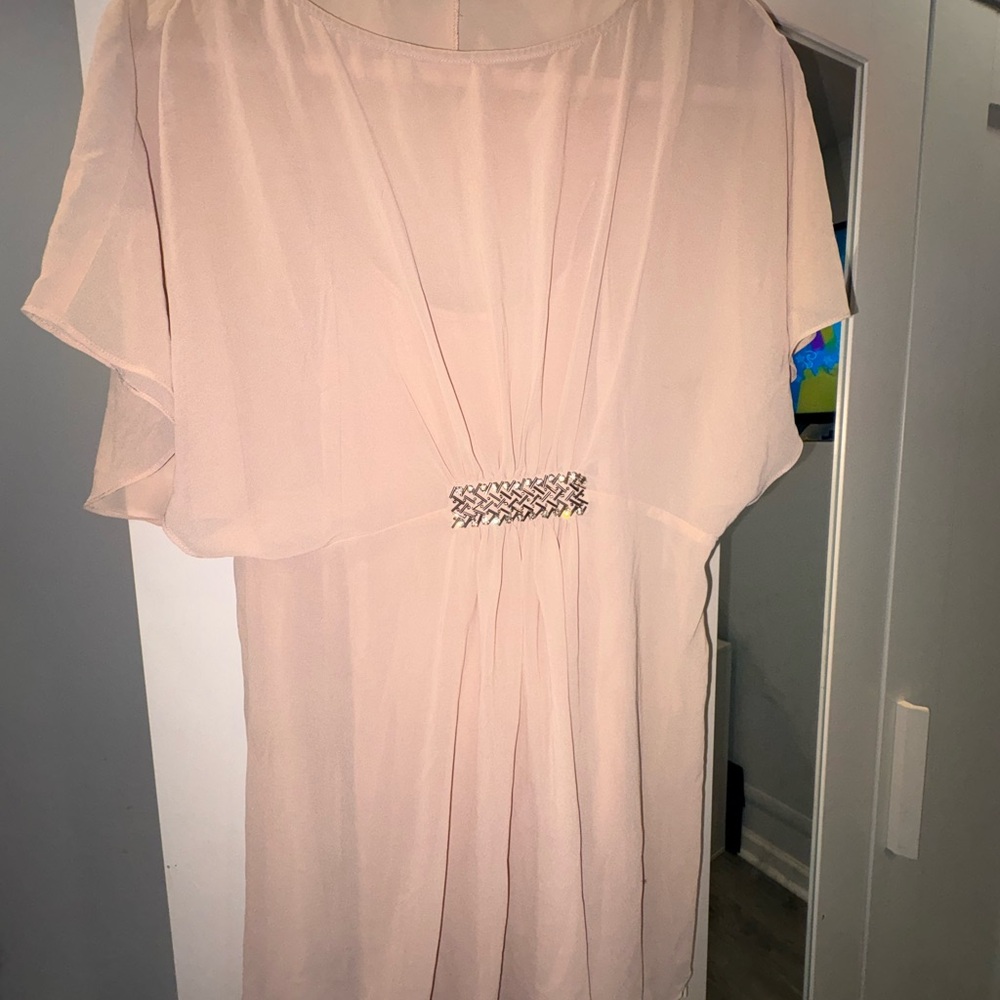 Sheer Pink Dress